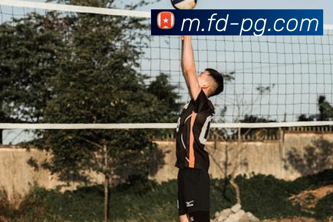 pg模拟器平台生态图